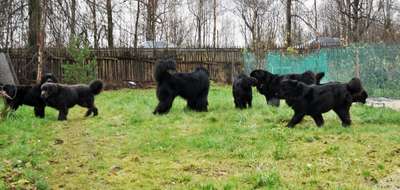 Фотография № 196021