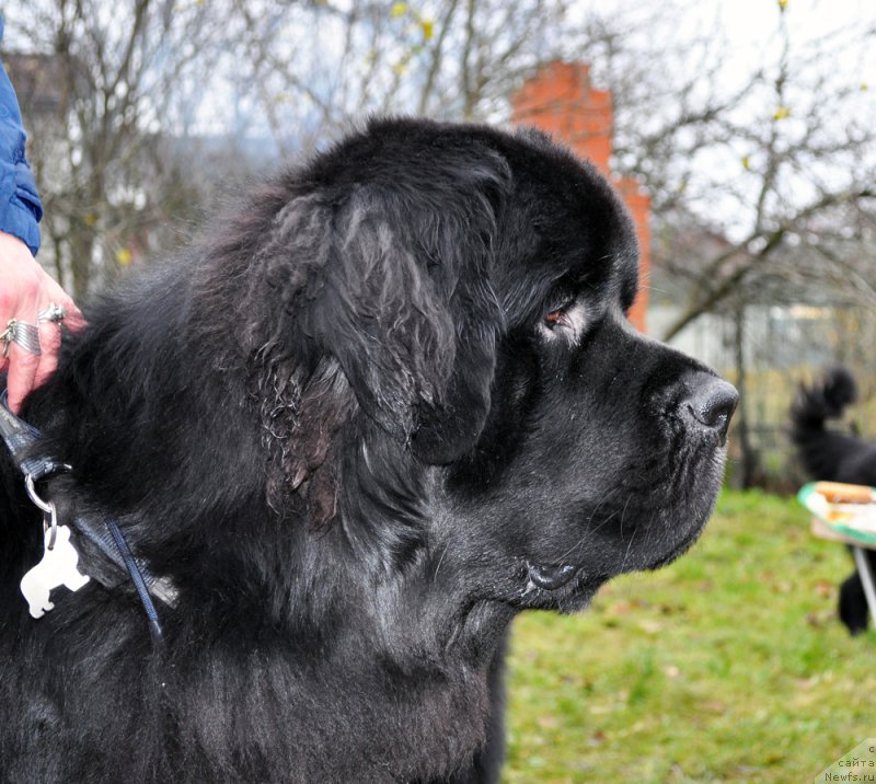 Фотография № 196024