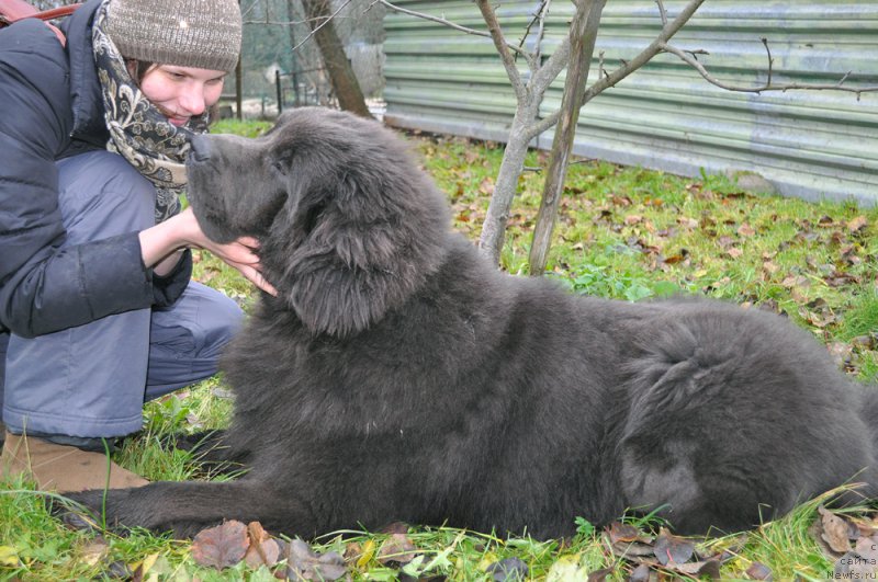 Фотография № 196025