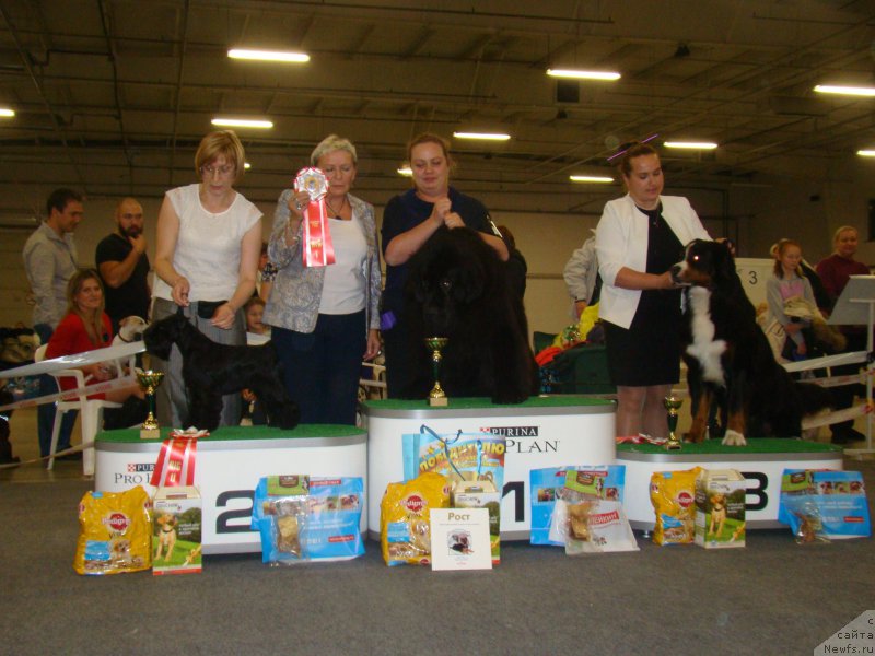 Фотография № 196044