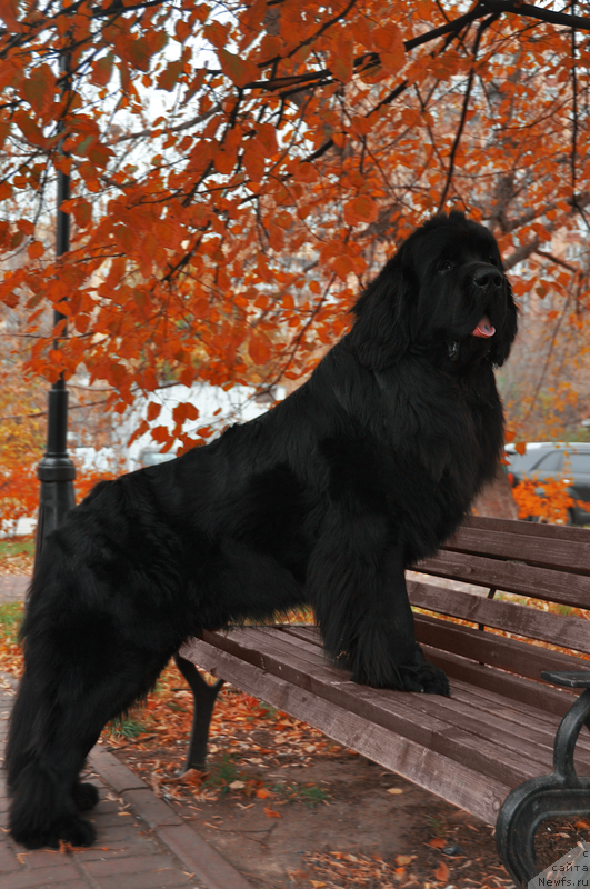 Фотография № 196052