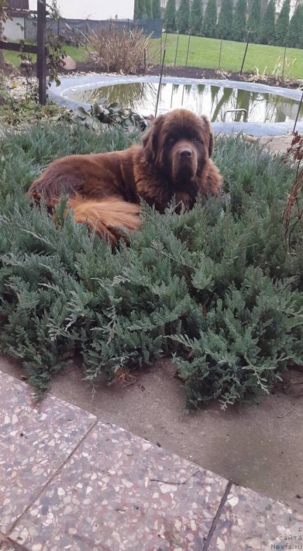 Фотография № 196054