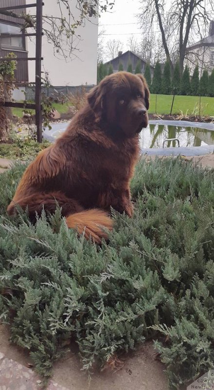 Фотография № 196055