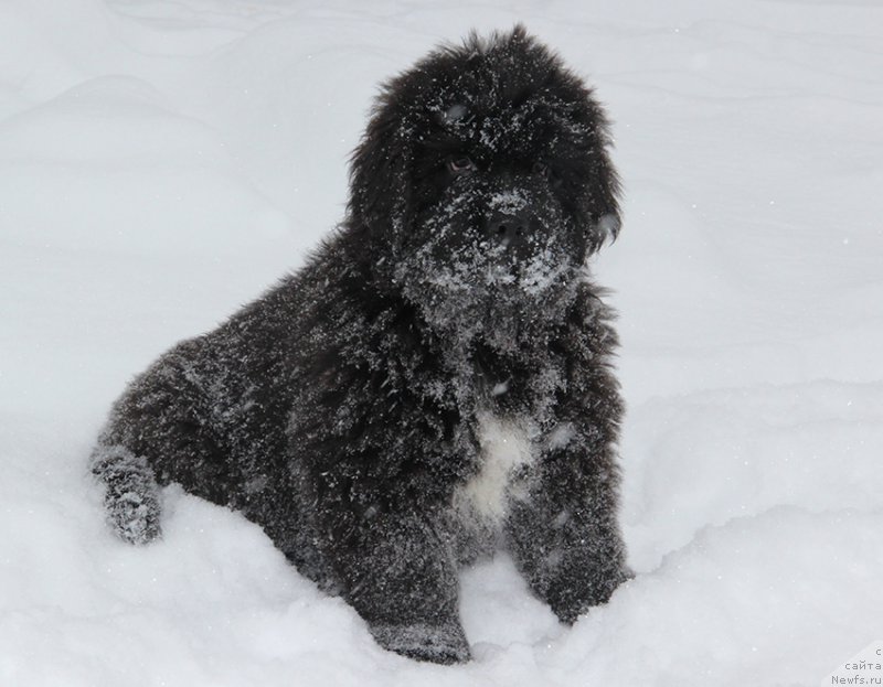 Фотография № 196057