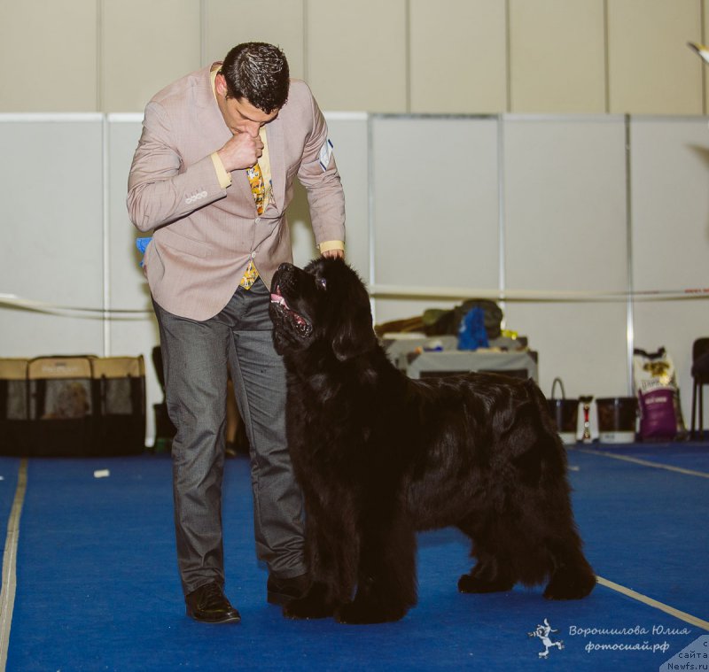 Фотография № 196066