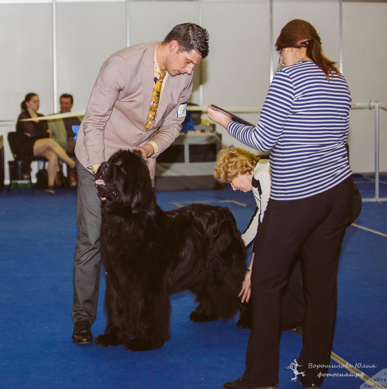 Фотография № 196067