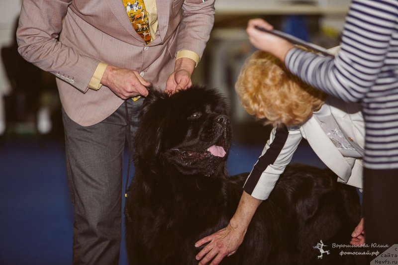 Фотография № 196068