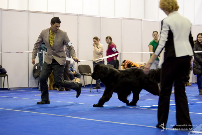 Фотография № 196070