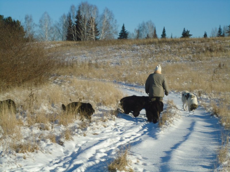 Фотография № 196087