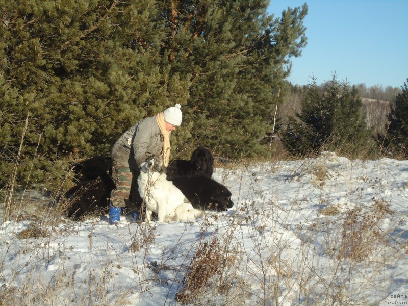 Фотография № 196088