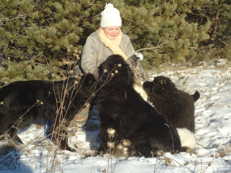 Фотография № 196089