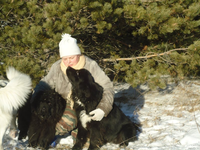 Фотография № 196090