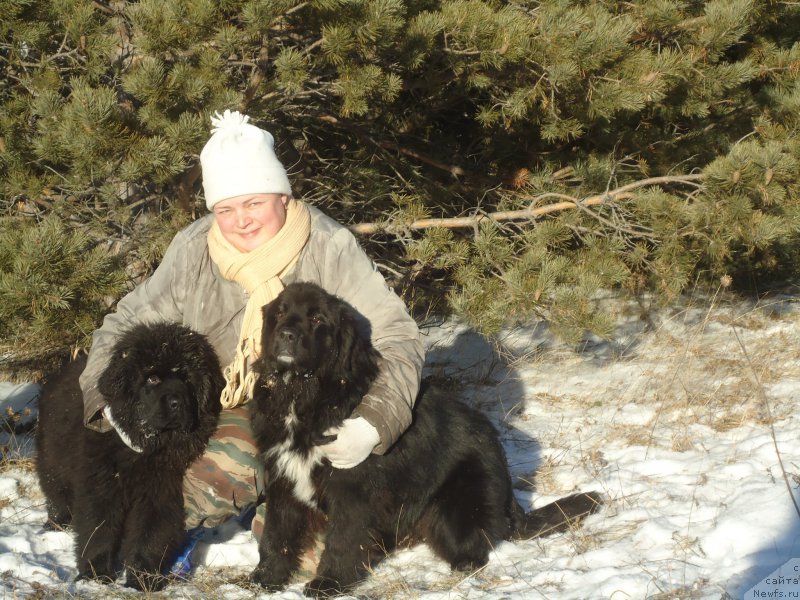 Фотография № 196091