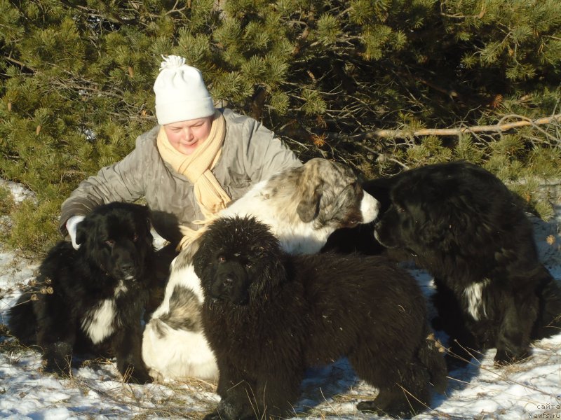 Фотография № 196094