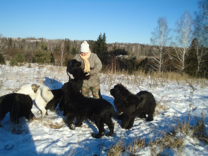 Фотография № 196097