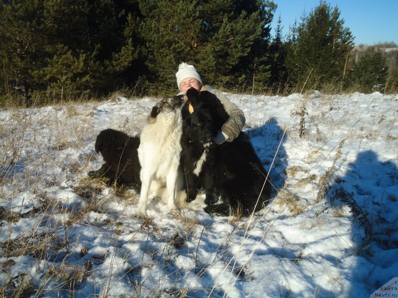 Фотография № 196099