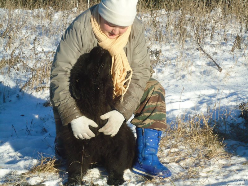 Фотография № 196100