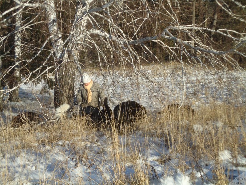 Фотография № 196102