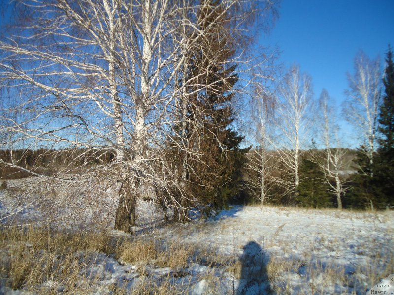 Фотография № 196103