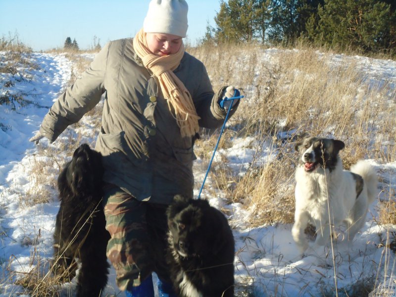 Фотография № 196104