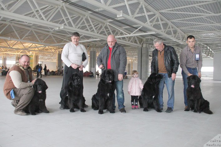 Фотография № 196184