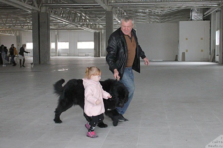 Фотография № 196192