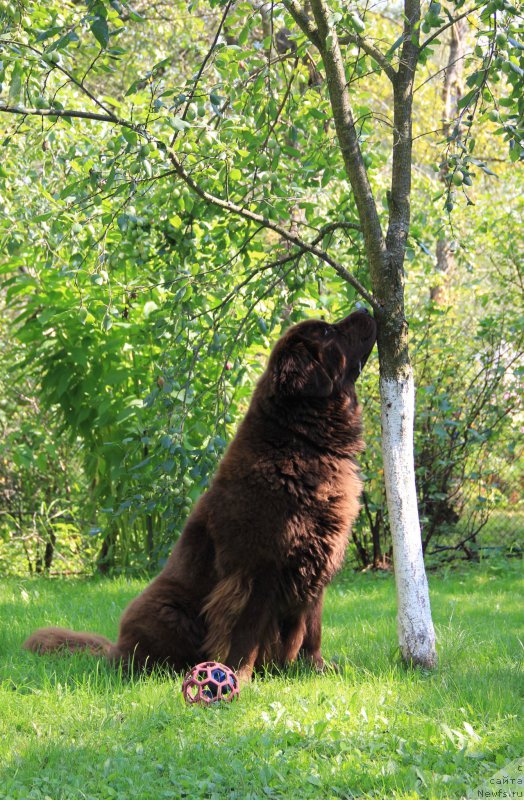 Фотография № 196200