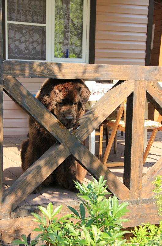 Фотография № 196205