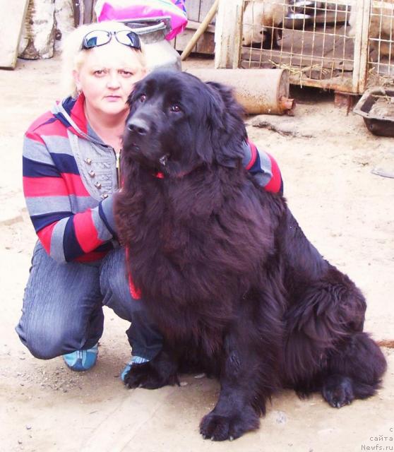 Фото: Хуодэ Шень Ютта