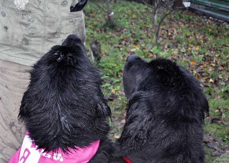 Фотография № 196277