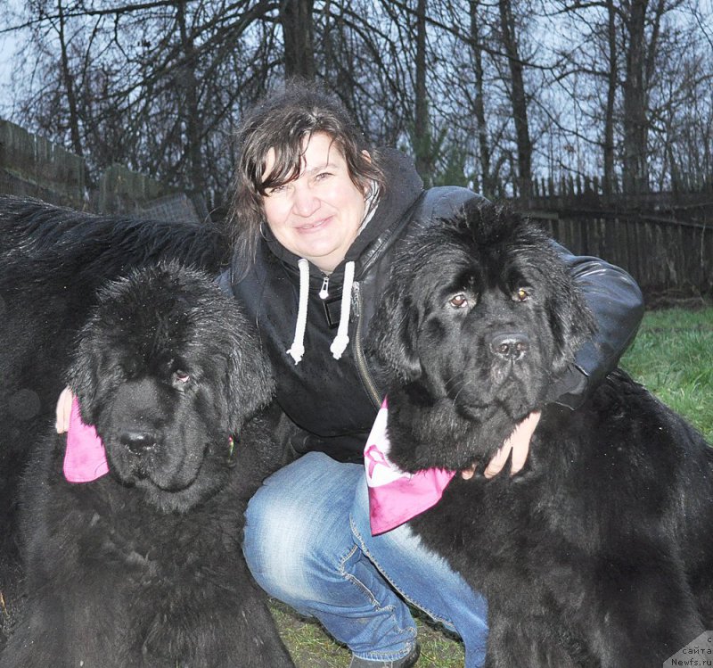 Фотография № 196278