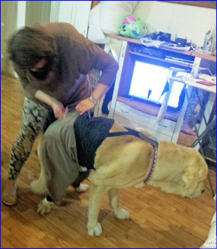 Фото: Lena Zyirina (Лена Зырина), Irina Sayapova (Ирина Саяпова)