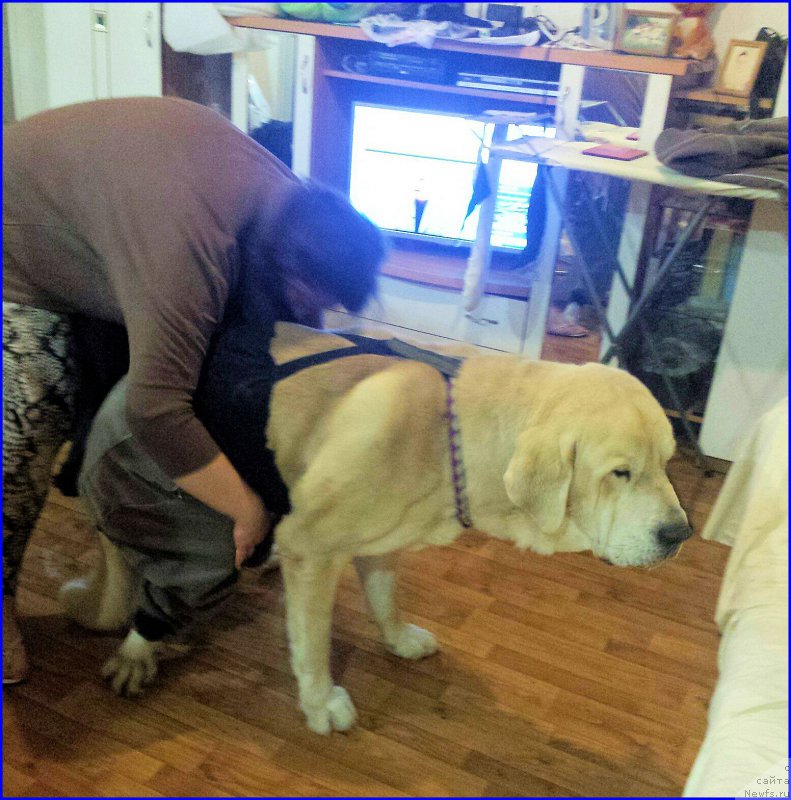 Фотография № 196288