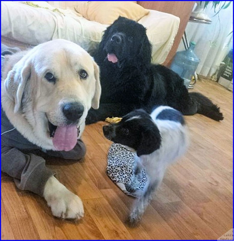 Фотография № 196301