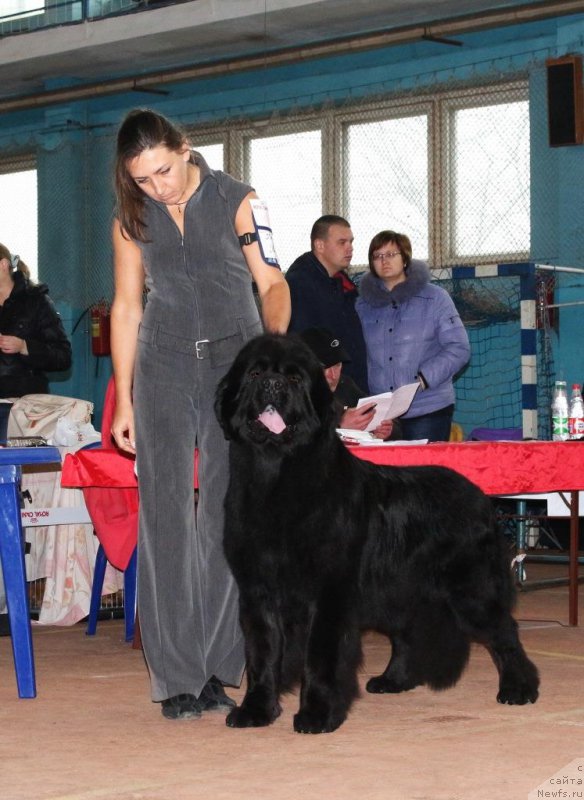 Фото: Viktor Hrischanovich (Виктор Хрищанович)