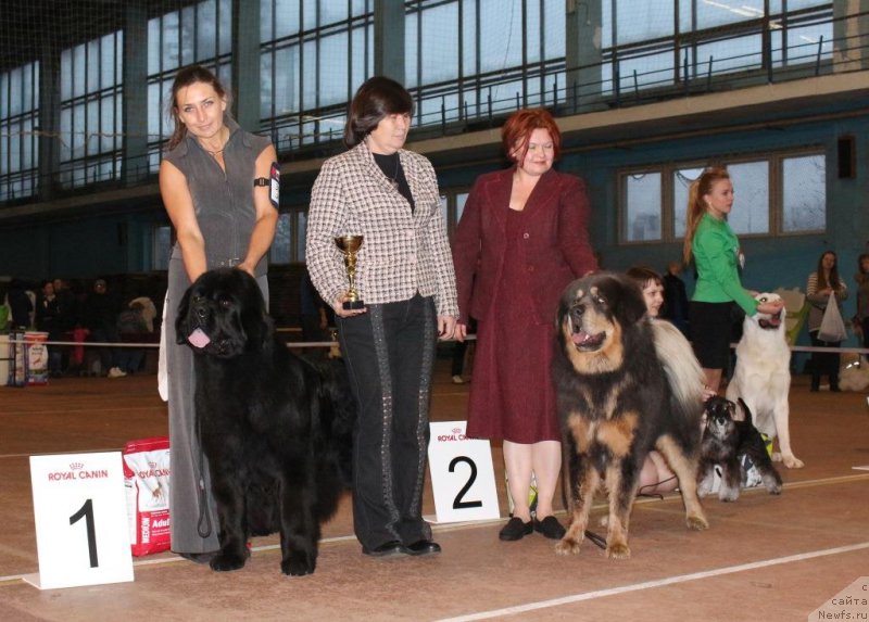 Фотография № 196336