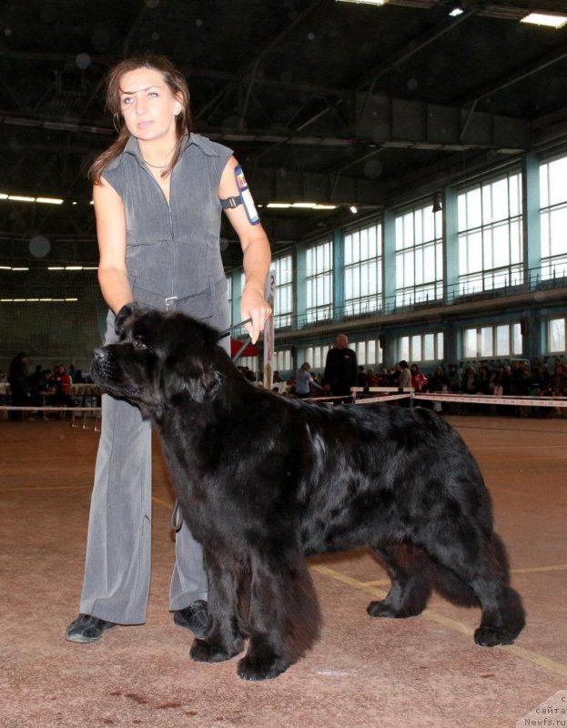 Фотография № 196340