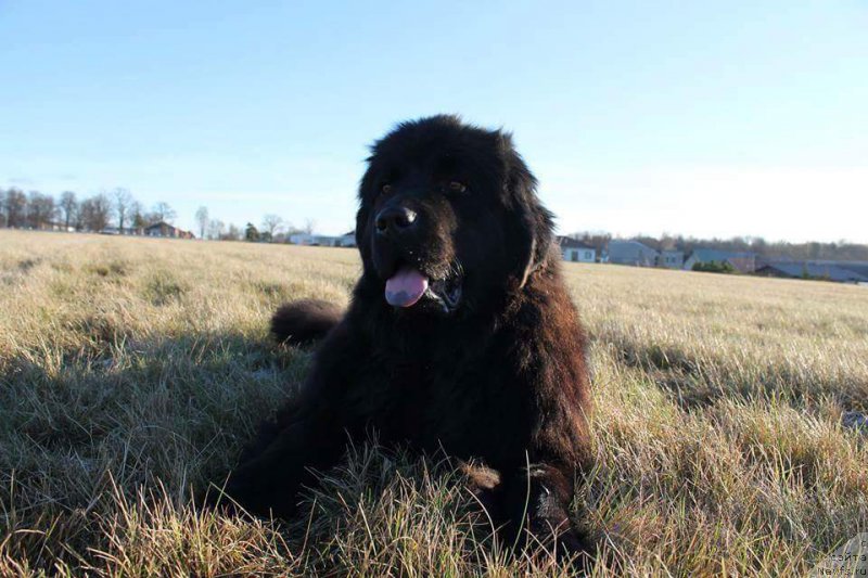 Фотография № 196345