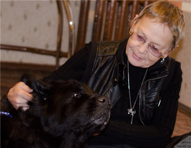 Фотография № 196367