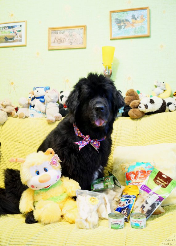 Фотография № 196378