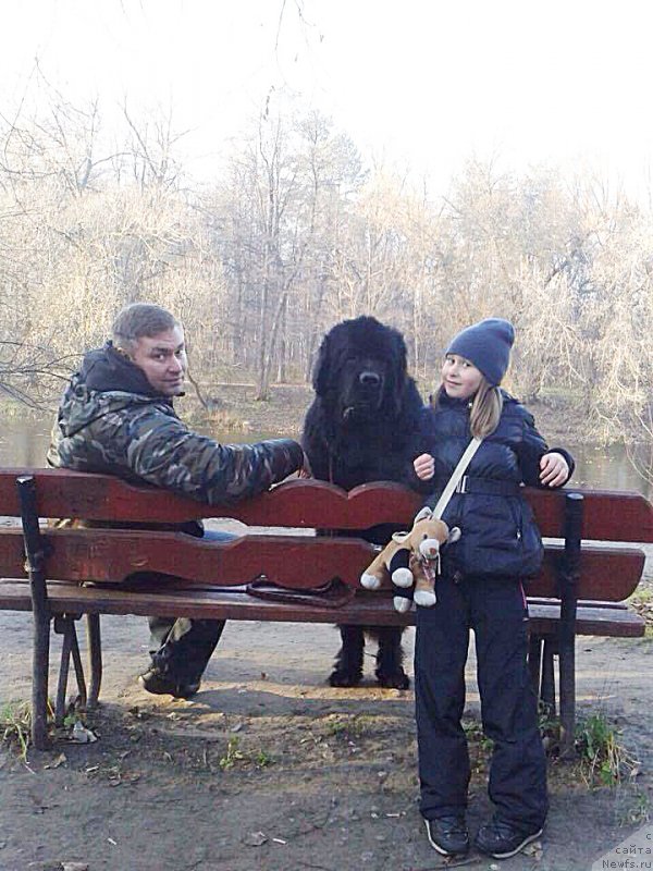 Фотография № 196386