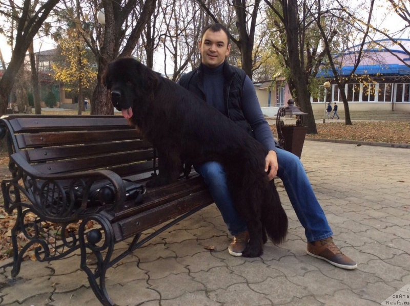 Фотография № 196399