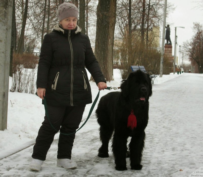 Фотография № 196401