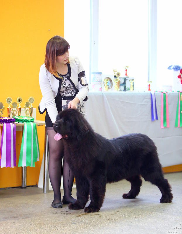 Фотография № 196430