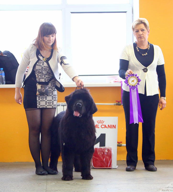 Фотография № 196431