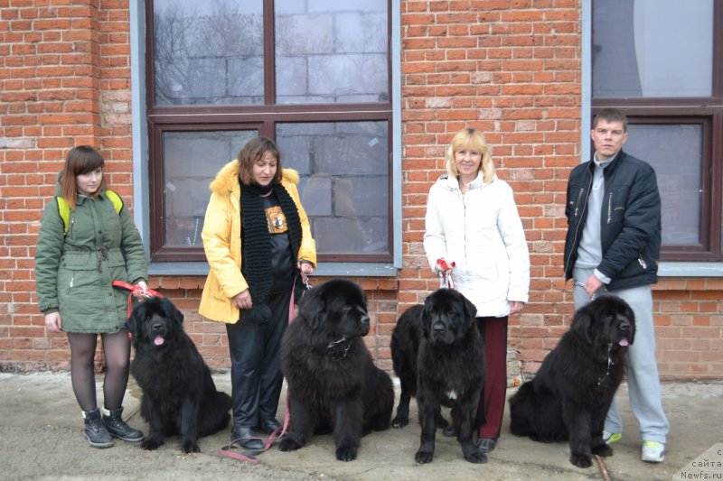 Фотография № 196432