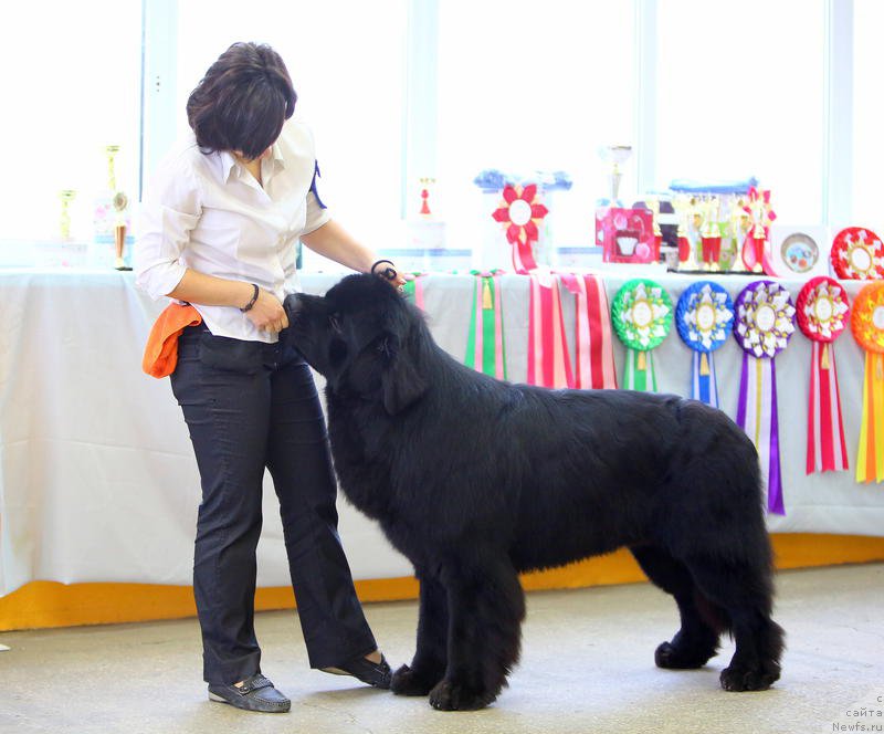 Фотография № 196441