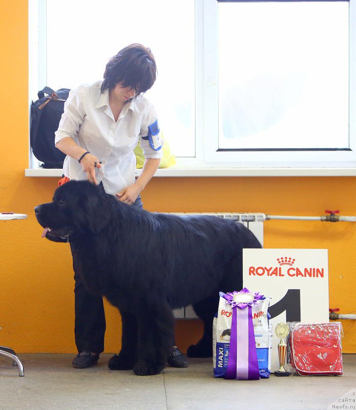 Фотография № 196442