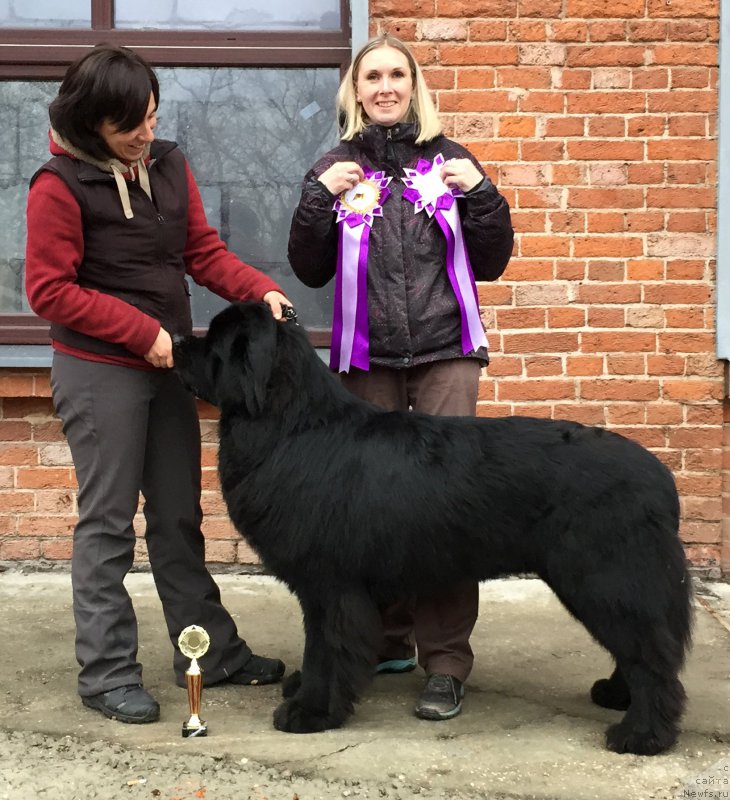 Фотография № 196443