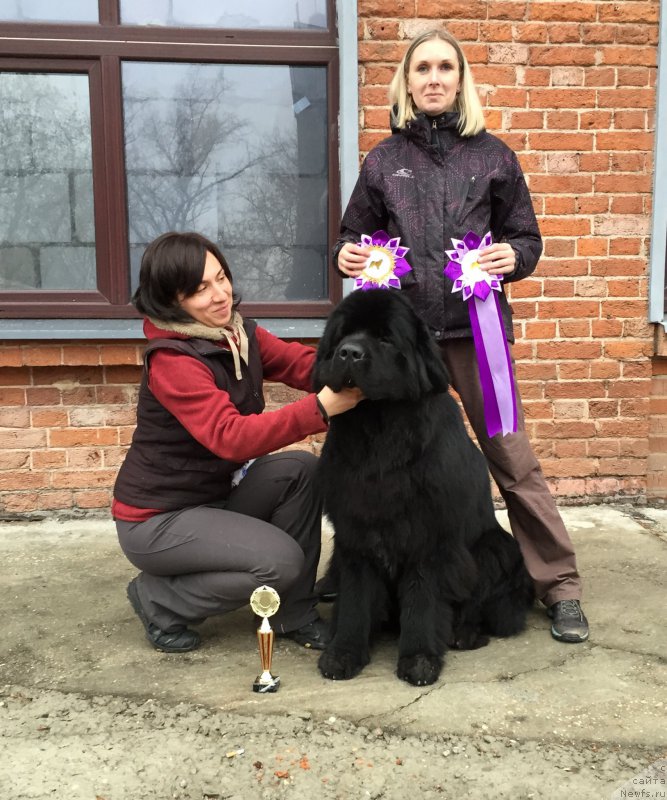 Фотография № 196444